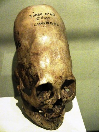 Elongated skull stolen from Ica Regional Museum in Paracas, Peru