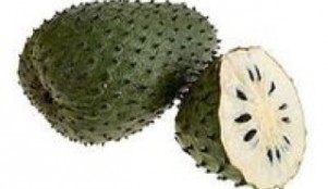 Sour Sop or the fruit from the graviola tree